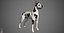 Great Dane Real-Time