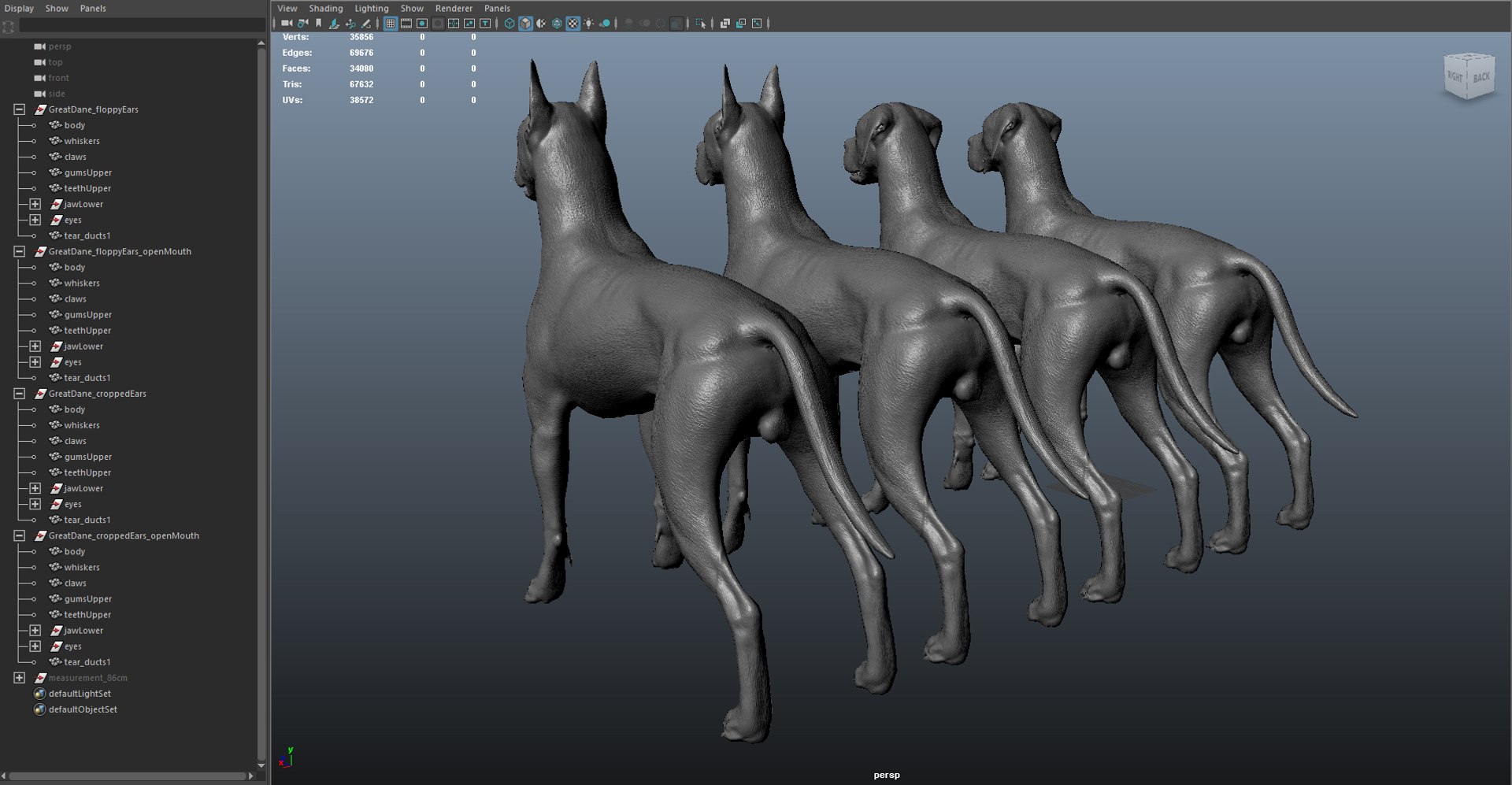 great dane real-time dog 3d ma https://p.turbosquid.com/ts-thumb/wi/GecaME/L3GBJsfJ/greatdane_maaya_02/jpg/1469409732/1920x1080/fit_q87/7d31ec4fa964cbc70e6a9558734bb8215f5ad4dc/greatdane_maaya_02.jpg
