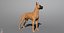 Great Dane Real-Time