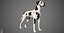 Great Dane Real-Time