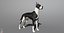 Great Dane Real-Time