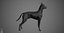 Great Dane Real-Time