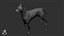 Great Dane Real-Time