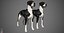 Great Dane Real-Time