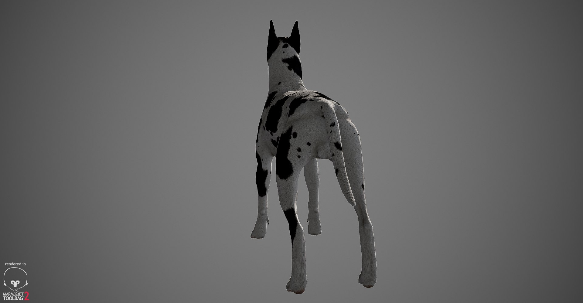great dane real-time dog 3d ma https://p.turbosquid.com/ts-thumb/wi/GecaME/iHOah11C/greatdane_marmoset_harl_04/jpg/1469409699/1920x1080/fit_q87/efe4c825e2c732f3ab12485b7cc5756075762e38/greatdane_marmoset_harl_04.jpg