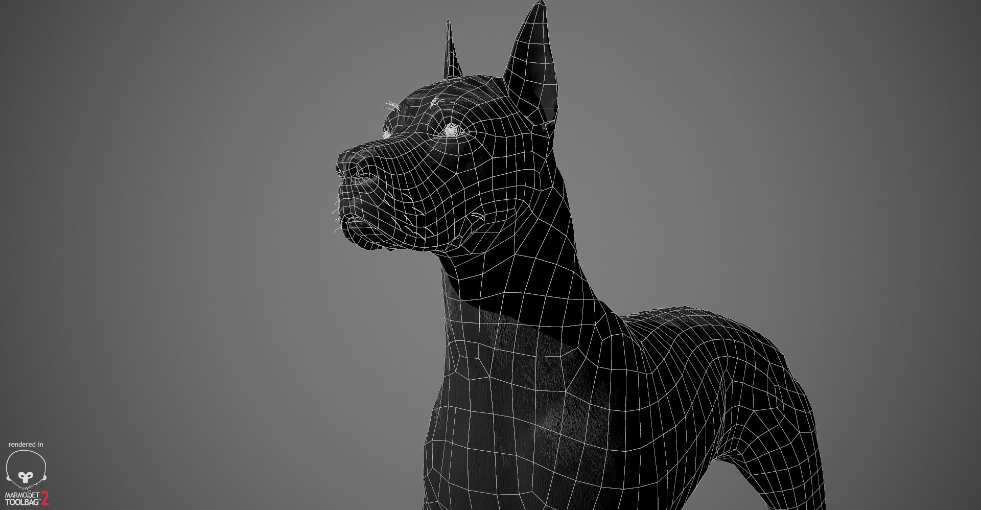 great dane real-time dog 3d ma https://p.turbosquid.com/ts-thumb/wi/GecaME/q3RrG997/greatdane_wireframe_04/jpg/1469409715/1920x1080/fit_q87/bafd7e20ba3415c165fdfd52f1a6c41dbf5fa9ce/greatdane_wireframe_04.jpg
