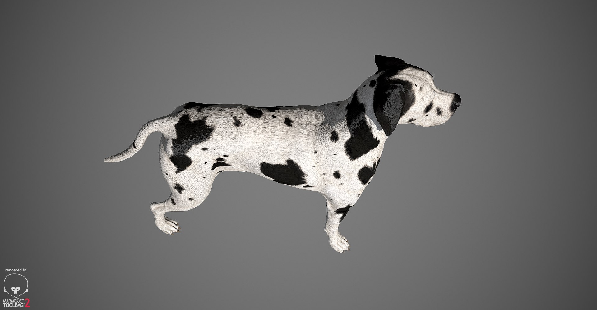 great dane real-time dog 3d ma https://p.turbosquid.com/ts-thumb/wi/GecaME/qiAHSVQb/greatdane_marmoset_harl_16/jpg/1469409699/1920x1080/fit_q87/4db3445bc32d39984deeb3b00a346b92da515986/greatdane_marmoset_harl_16.jpg