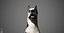 Great Dane Real-Time