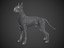 Great Dane Real-Time