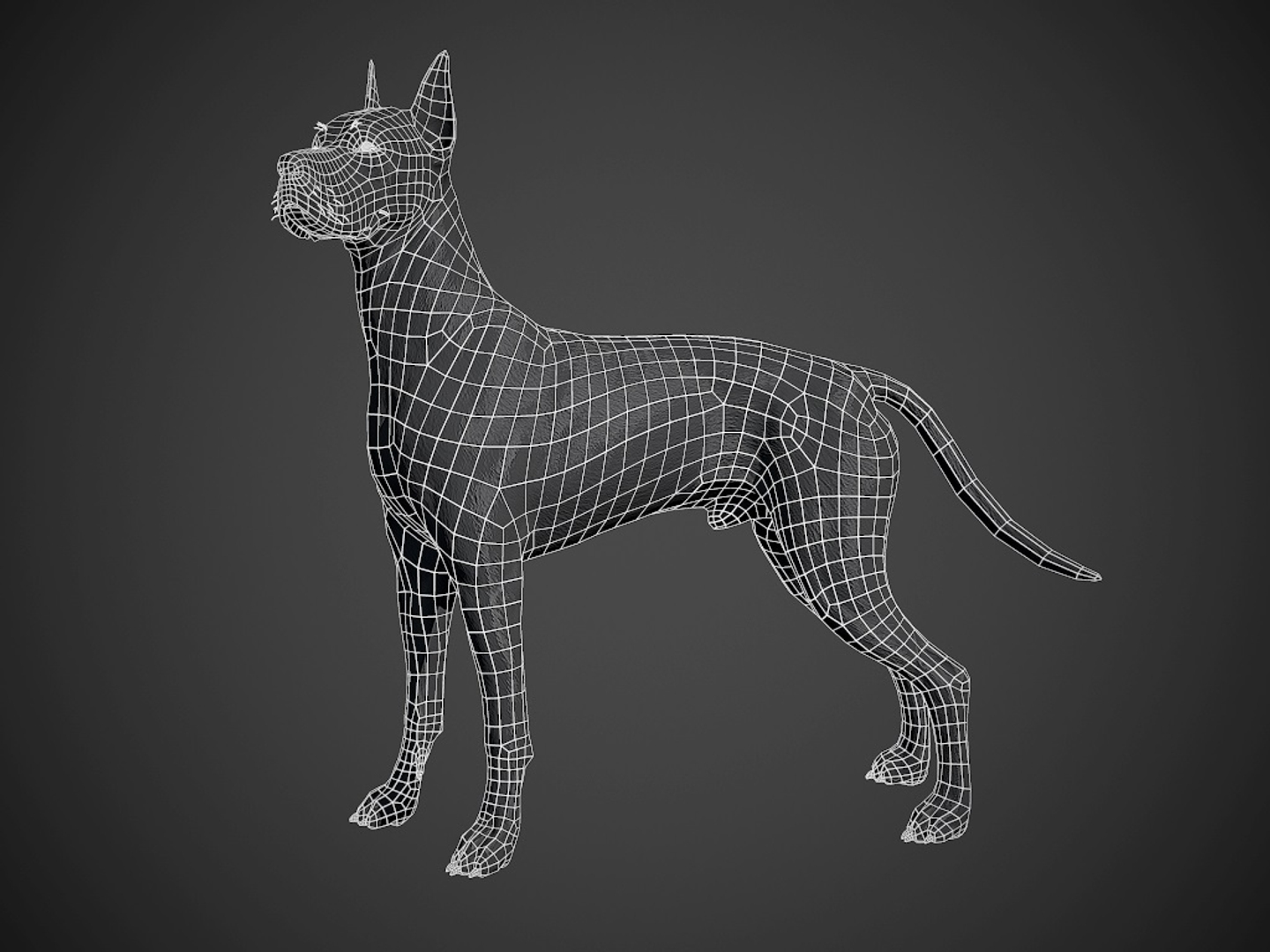 great dane real-time dog 3d ma https://p.turbosquid.com/ts-thumb/wi/GecaME/vFIvJvzU/greatdane_wires/jpg/1469503162/1920x1080/turn_fit_q99/8c729a1f9220d8a8d5a28daab08f5564d690a1f5/greatdane_wires-1.jpg