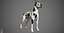 Great Dane Real-Time