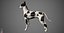 Great Dane Real-Time