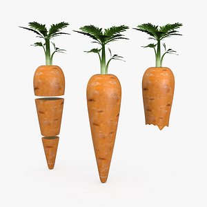 Sliced Complete And Bitten Carrots