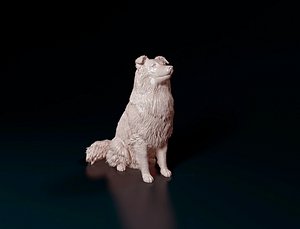 Sheltie dog 3D