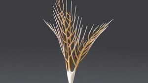 3d bathycrinus aldrichianus species