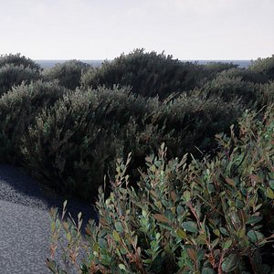 bush 3D