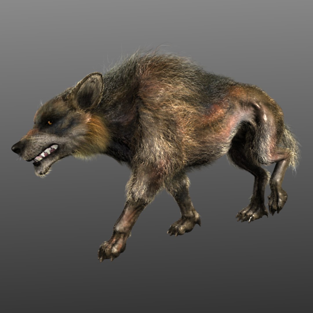 3D Wolf - TurboSquid 1192064