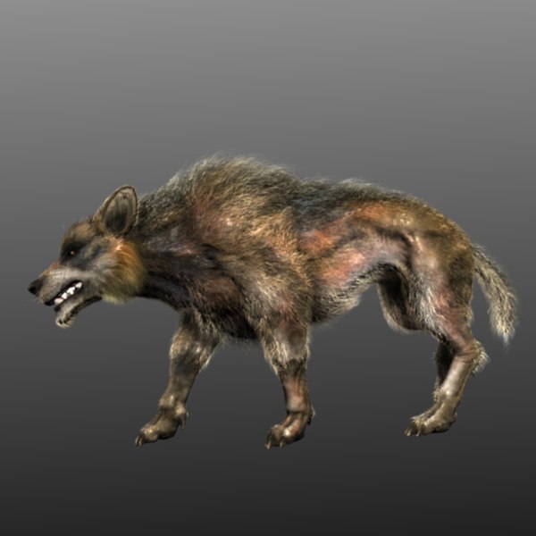 3D wolf - TurboSquid 1192064