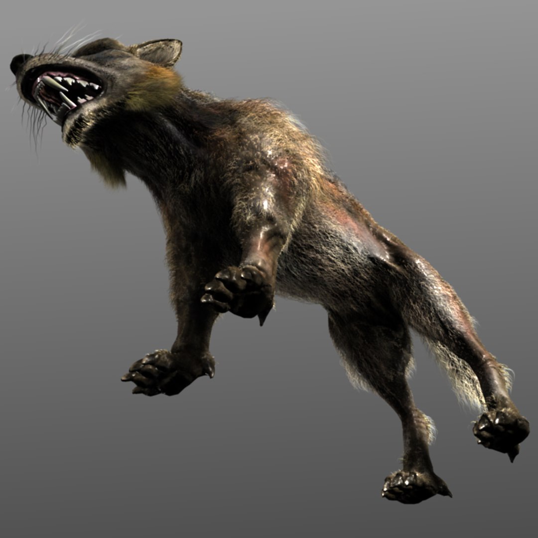 3D Wolf - TurboSquid 1192064