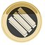 Lisk Machine Learning Cryptocurrency Gold Coin