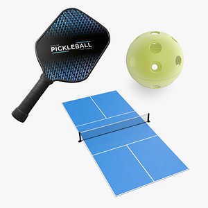 3D Pickleball Collection model