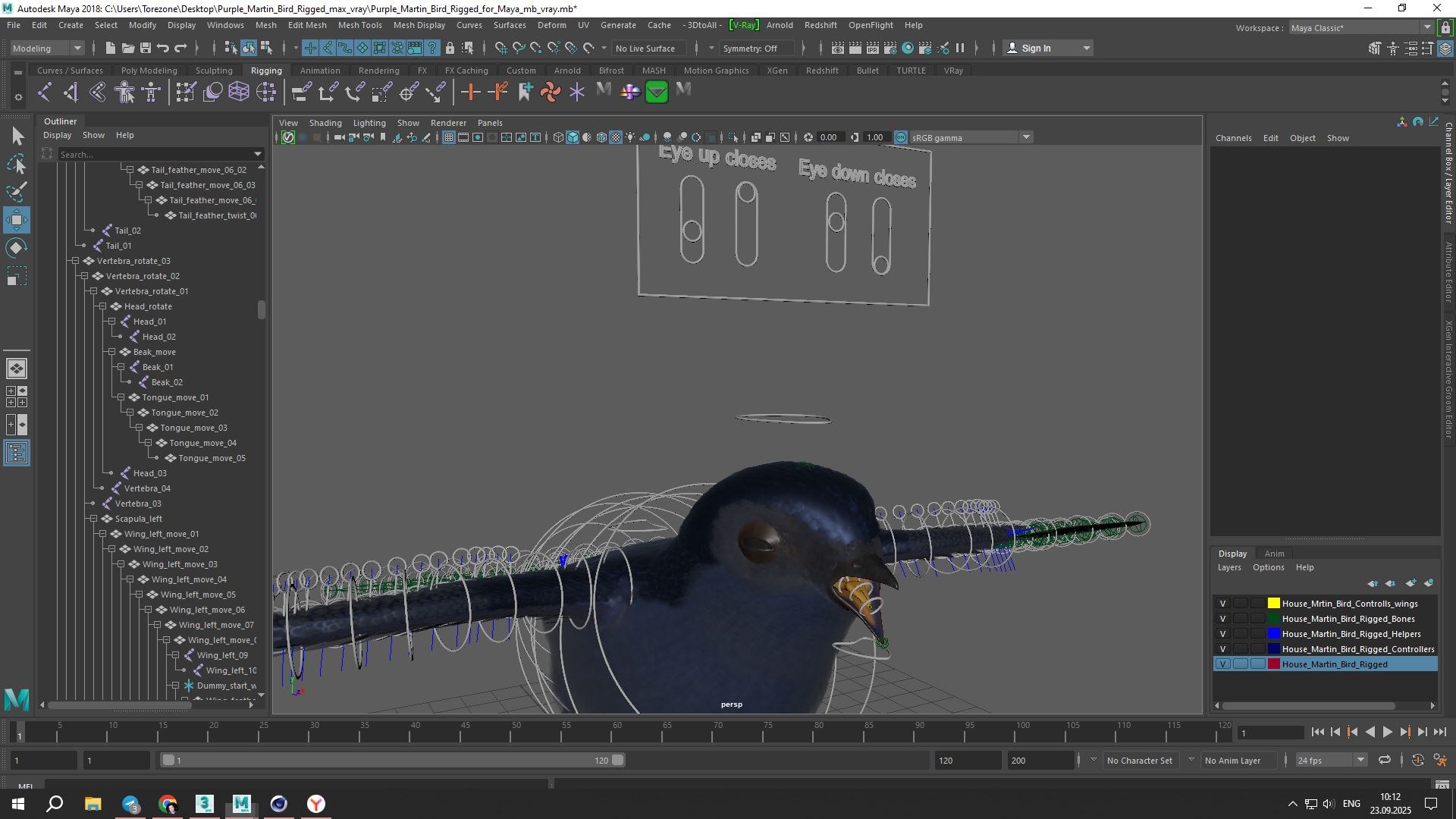 Purple Martin Bird Rigged for Maya 3D model https://p.turbosquid.com/ts-thumb/wi/kEA7zn/7J/purple_martin_bird_rigged_for_maya_1007/jpg/1758779260/1920x1080/fit_q87/7265596bee04250089b5638b3fa00dce05f8edd8/purple_martin_bird_rigged_for_maya_1007.jpg