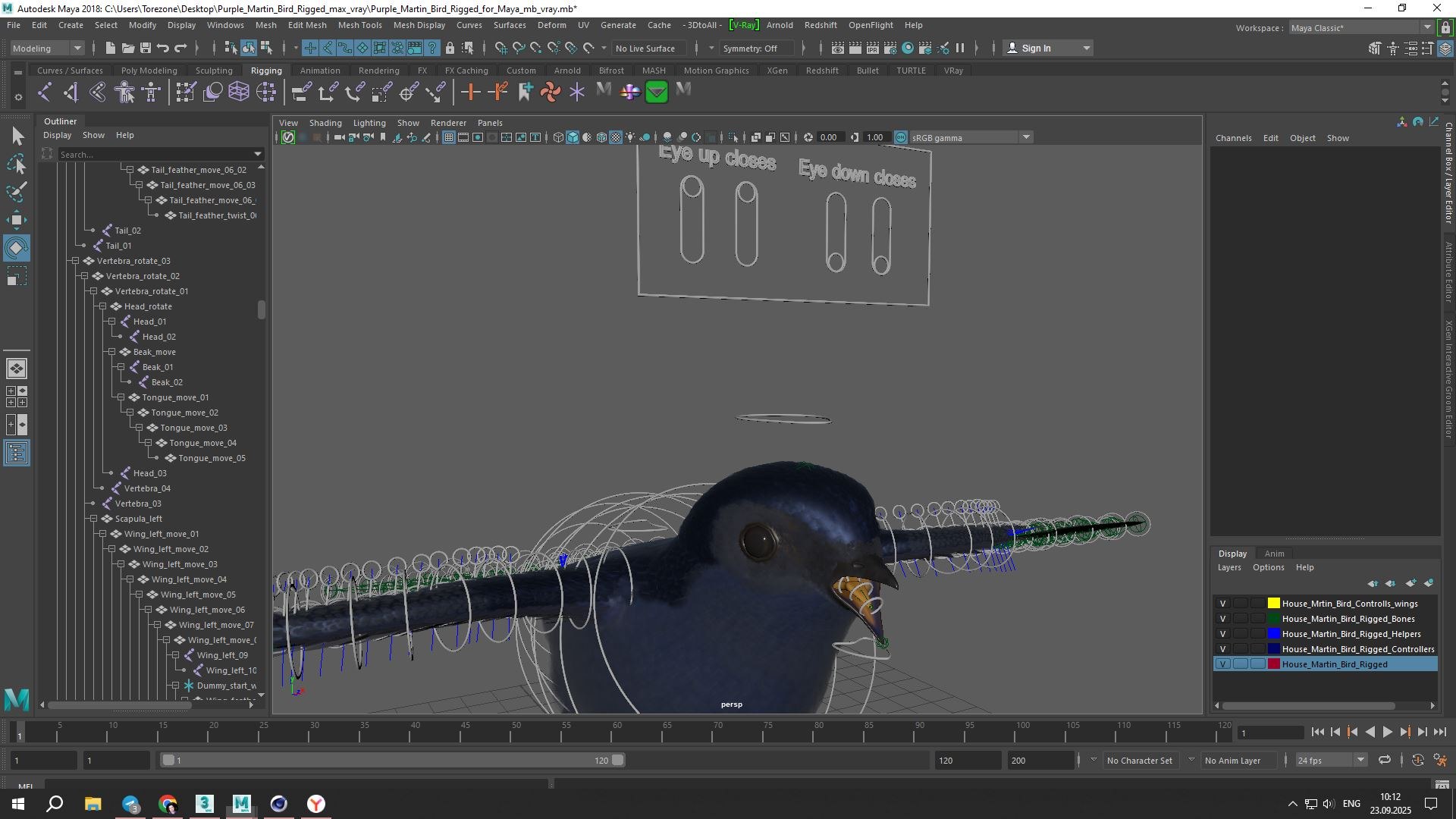 Purple Martin Bird Rigged for Maya 3D model https://p.turbosquid.com/ts-thumb/wi/kEA7zn/JG/purple_martin_bird_rigged_for_maya_1006/jpg/1758779258/1920x1080/fit_q87/847702820d2b92bb5c005a48bdb479c07f8ba37d/purple_martin_bird_rigged_for_maya_1006.jpg