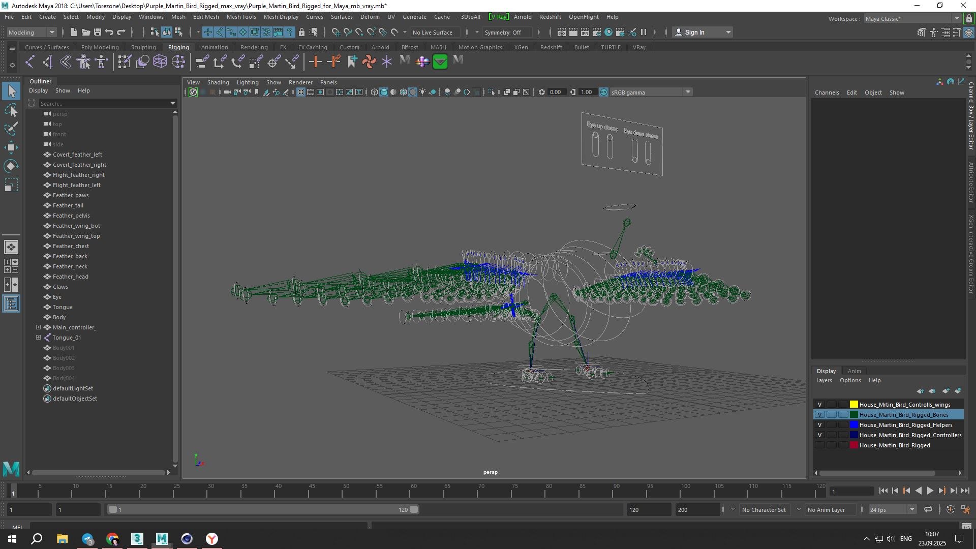 Purple Martin Bird Rigged for Maya 3D model https://p.turbosquid.com/ts-thumb/wi/kEA7zn/L8/purple_martin_bird_rigged_for_maya_1003/jpg/1758779250/1920x1080/fit_q87/611a25be36704362ad5e4093b5fdcb237c0ec398/purple_martin_bird_rigged_for_maya_1003.jpg