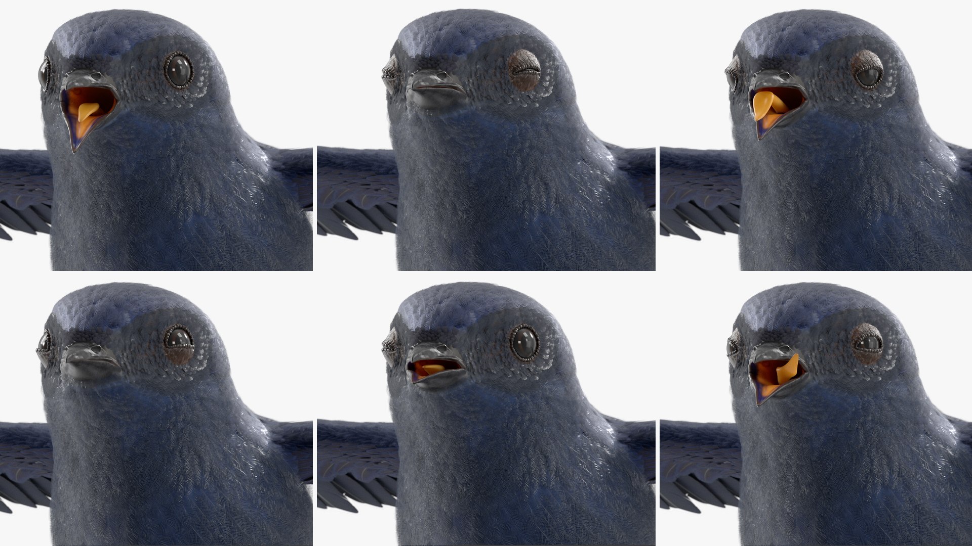 Purple Martin Bird Rigged for Maya 3D model https://p.turbosquid.com/ts-thumb/wi/kEA7zn/js/purple_martin_bird_rigged_010/jpg/1758779204/1920x1080/fit_q87/fa476e4c060205e66a9e1d4c9e9c595a80a72575/purple_martin_bird_rigged_010.jpg
