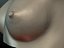 乳