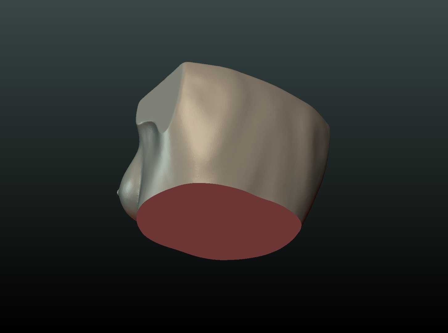 3D woman breast https://p.turbosquid.com/ts-thumb/wi/u8A6Vg/JGAtiiz1/breast04/png/1535563197/1920x1080/fit_q87/b94dec00a30c9f28281a9eefa4716c6d90c25011/breast04.jpg