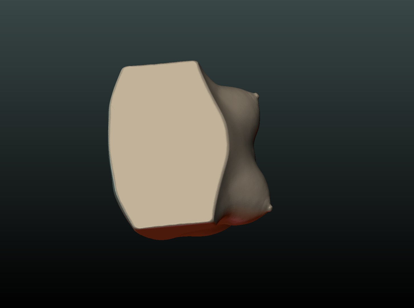 3D woman breast https://p.turbosquid.com/ts-thumb/wi/u8A6Vg/XBWmiU1i/breast07/png/1535563197/1920x1080/fit_q87/9c87bbcb28f11ad58b77b056e6cacee48dc60271/breast07.jpg