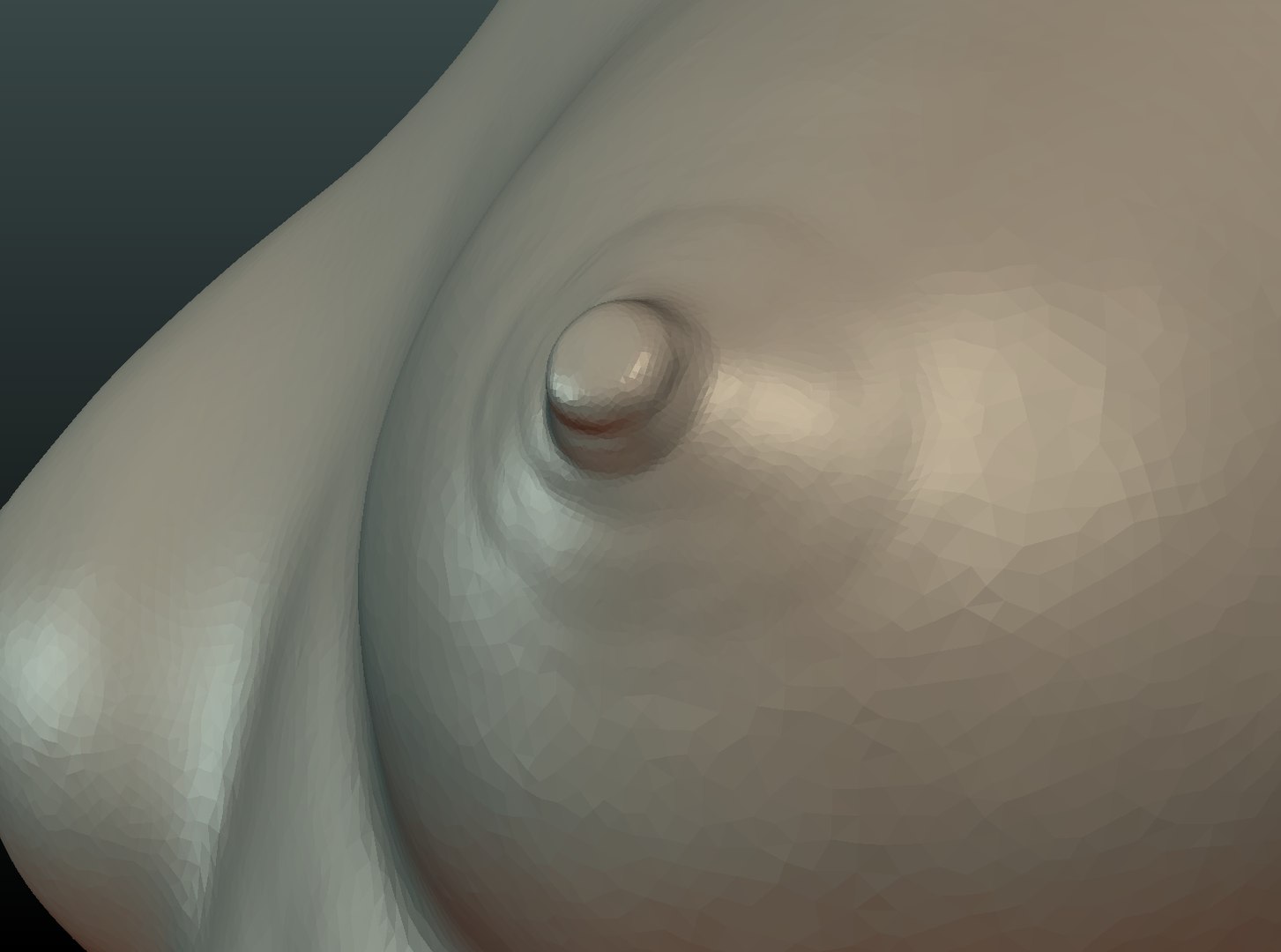 3D woman breast https://p.turbosquid.com/ts-thumb/wi/u8A6Vg/wzYqwUn8/breast10/png/1535563197/1920x1080/fit_q87/17413fc60c3d08e455bbb00b8ede5dd0e18f24ad/breast10.jpg