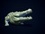 CROCODILE PRINTREADY