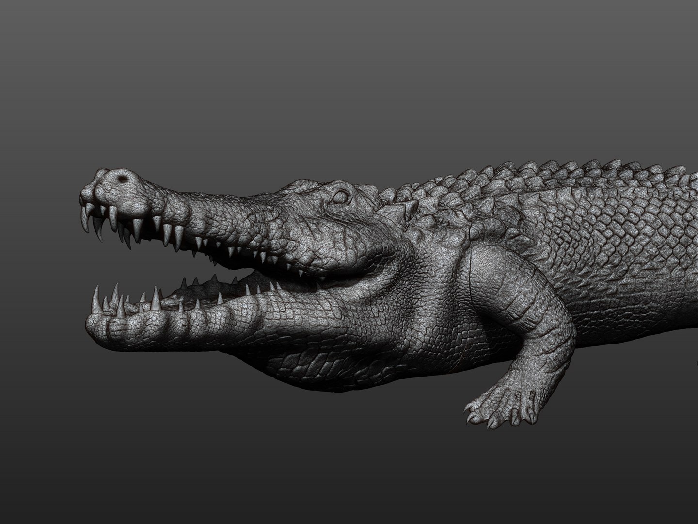 3D CROCODILE PRINTREADY https://p.turbosquid.com/ts-thumb/wi/vGxheF/uh/0/jpg/1641053460/1920x1080/fit_q87/fdc89cc8217b15e2161062d93bdf7ac59aad56bf/0.jpg
