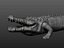 CROCODILE PRINTREADY