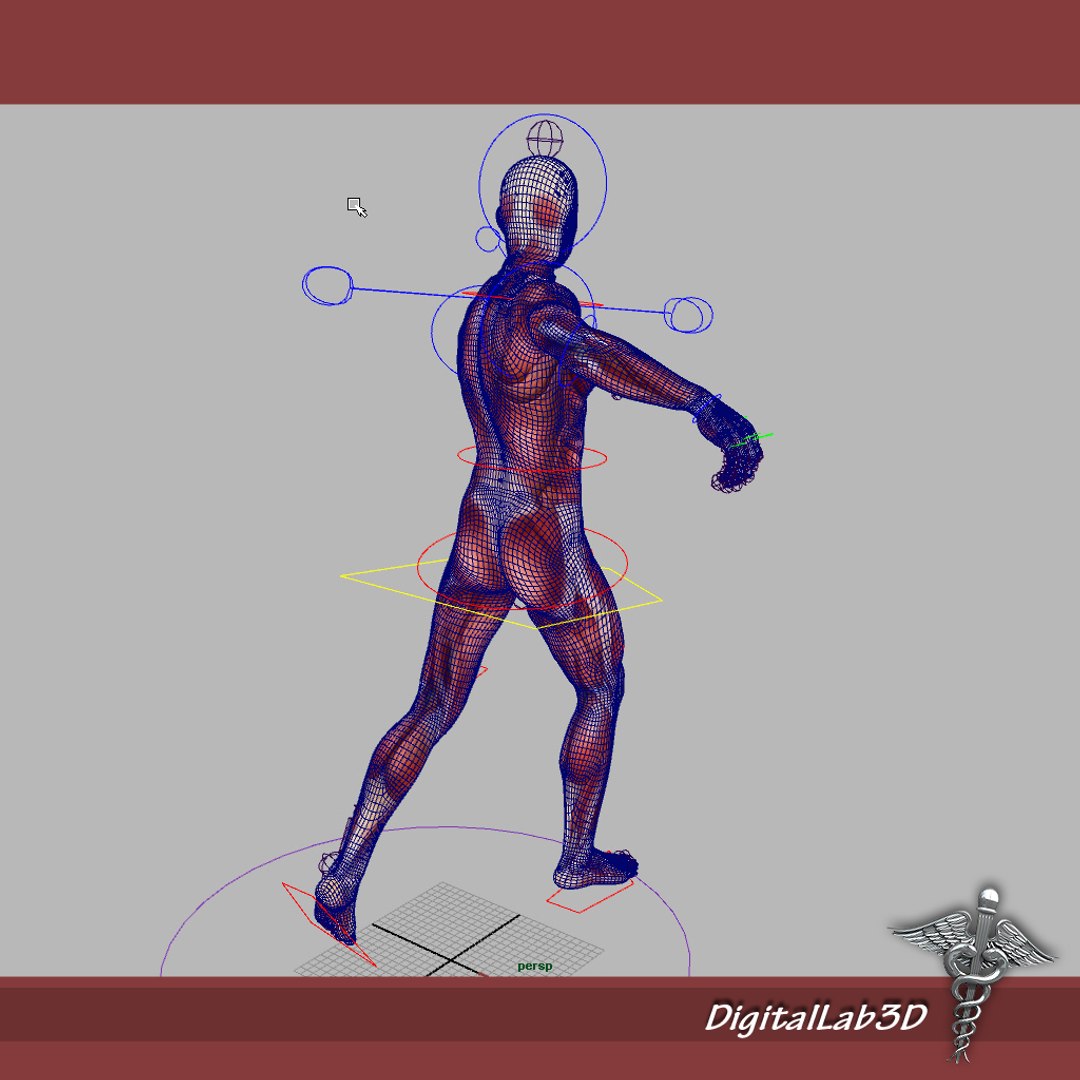 Rigged Human Male Muscular 3d Model