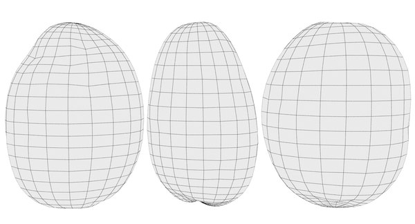 3D model potato scan | 1142560 | TurboSquid