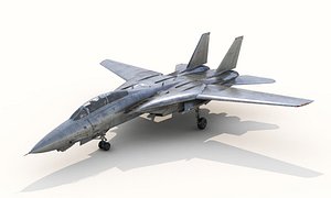F-14A Tomcat 3D