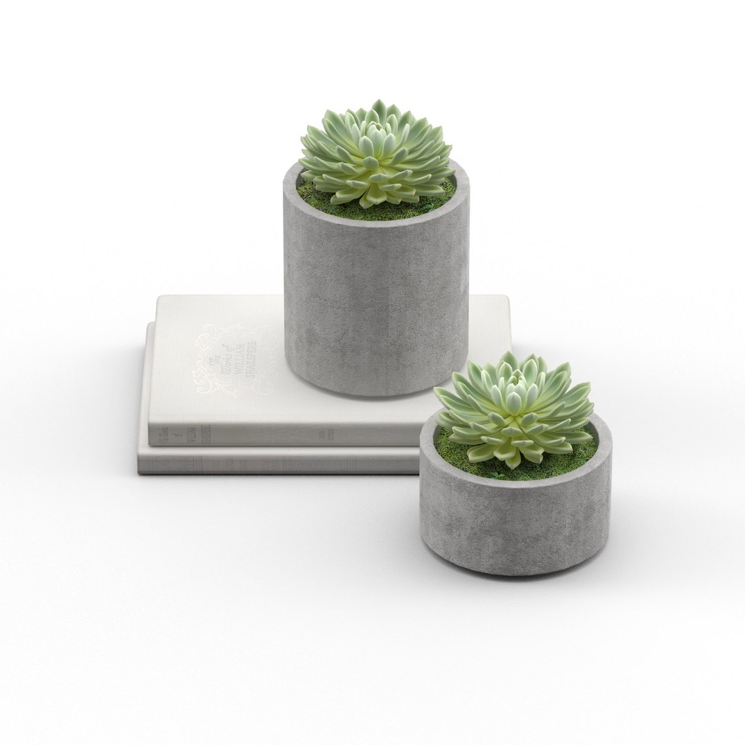 3D decorative set framed succulent https://p.turbosquid.com/ts-thumb/wj/6601IY/bPyLcywo/23/jpg/1551002868/1920x1080/fit_q87/b337d3773759e56e15e4ef985076029ba0da1d8d/23.jpg