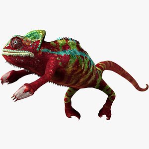 Chameleon Red Rigged for Maya