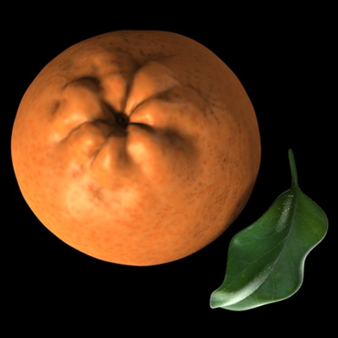 orange fruits 3d c4d https://p.turbosquid.com/ts-thumb/wj/7hNHkh/aAPvco5e/arancia02/jpg/1201855821/1920x1080/fit_q87/180025b2a80492939f17c9f4c3437453d501591e/arancia02.jpg