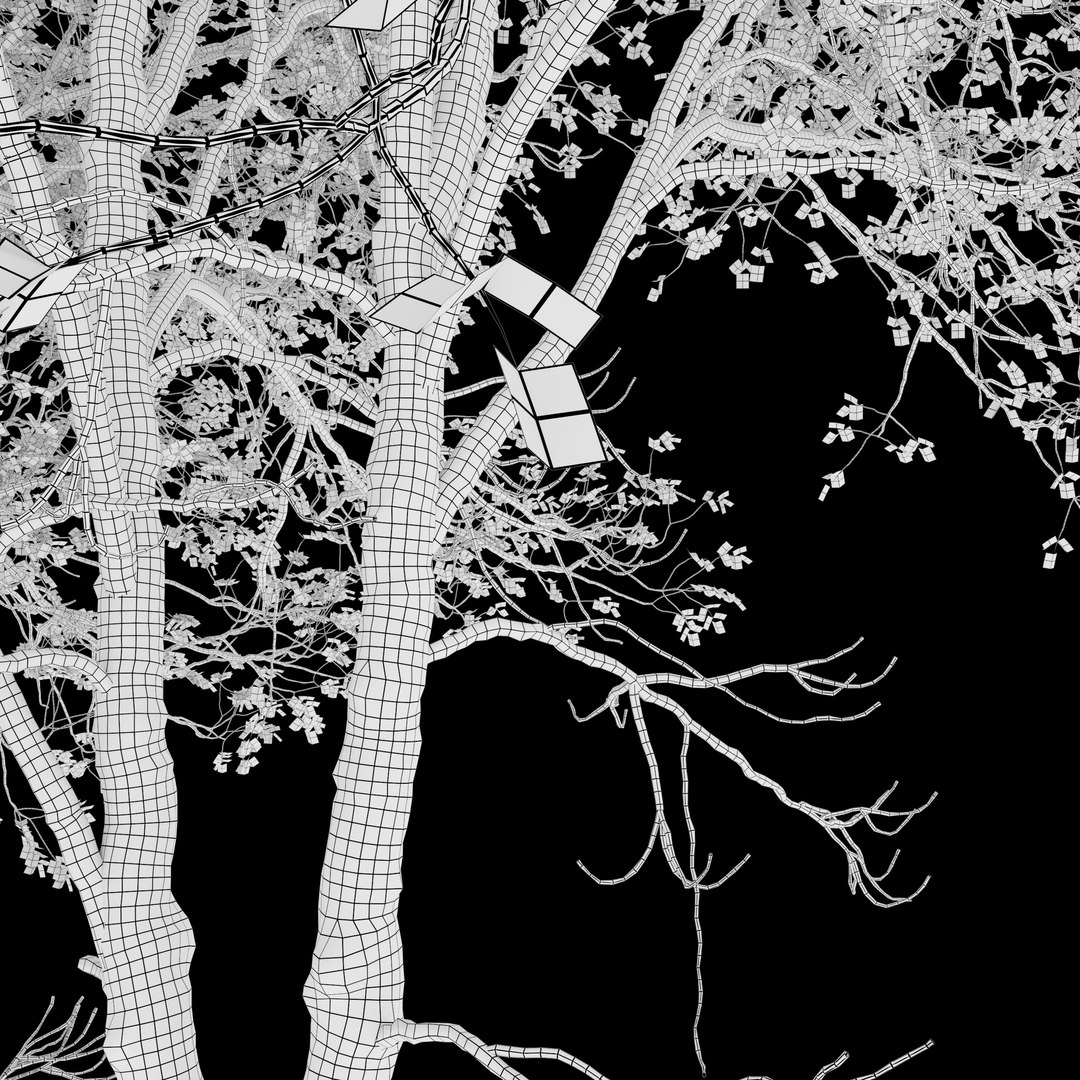 3D Hackberry tree 02 model https://p.turbosquid.com/ts-thumb/wj/7u6aF2/4H/preview7erfggfh/jpg/1669097802/1920x1080/fit_q87/8dff29bc777b3165a61cc3dc5401af11051f3e36/preview7erfggfh.jpg