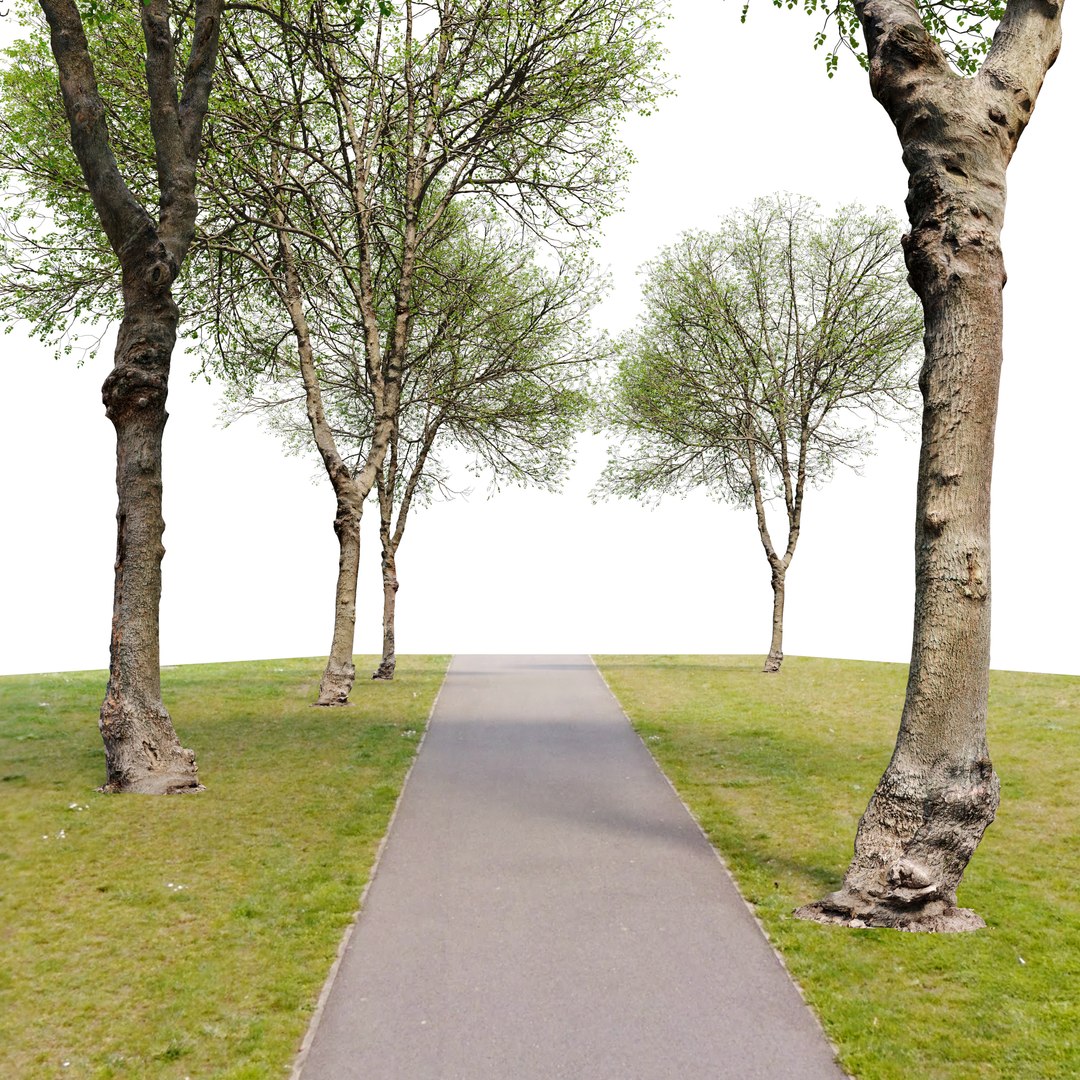 3D Hackberry tree 02 model https://p.turbosquid.com/ts-thumb/wj/7u6aF2/8p/preview2erfggfh/jpg/1669097800/1920x1080/fit_q87/eba5b3881e3972c25f4049c4156e5c684ec2cbb3/preview2erfggfh.jpg