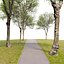Hackberry tree 02