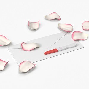 Pregnancy Test with Envelope and Rose Petals