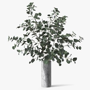 Eucalyptus Silver Dollar Branches in Marble Vase model