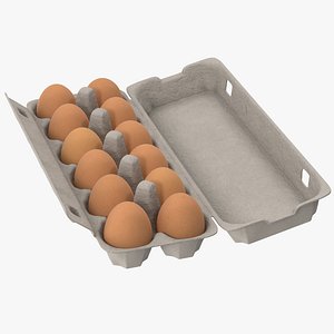 max egg container 01 open