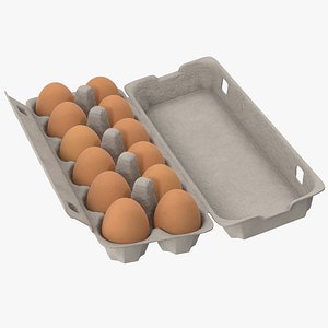 Egg Container 01 Open