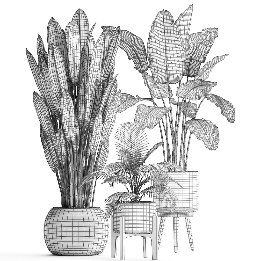 exotic plants 3D model https://p.turbosquid.com/ts-thumb/wj/SUldni/InXD2Pmt/plantsset0711201909/jpg/1573220472/1920x1080/fit_q87/d614de676629b93aea73a0ef366562071c7db4b9/plantsset0711201909.jpg
